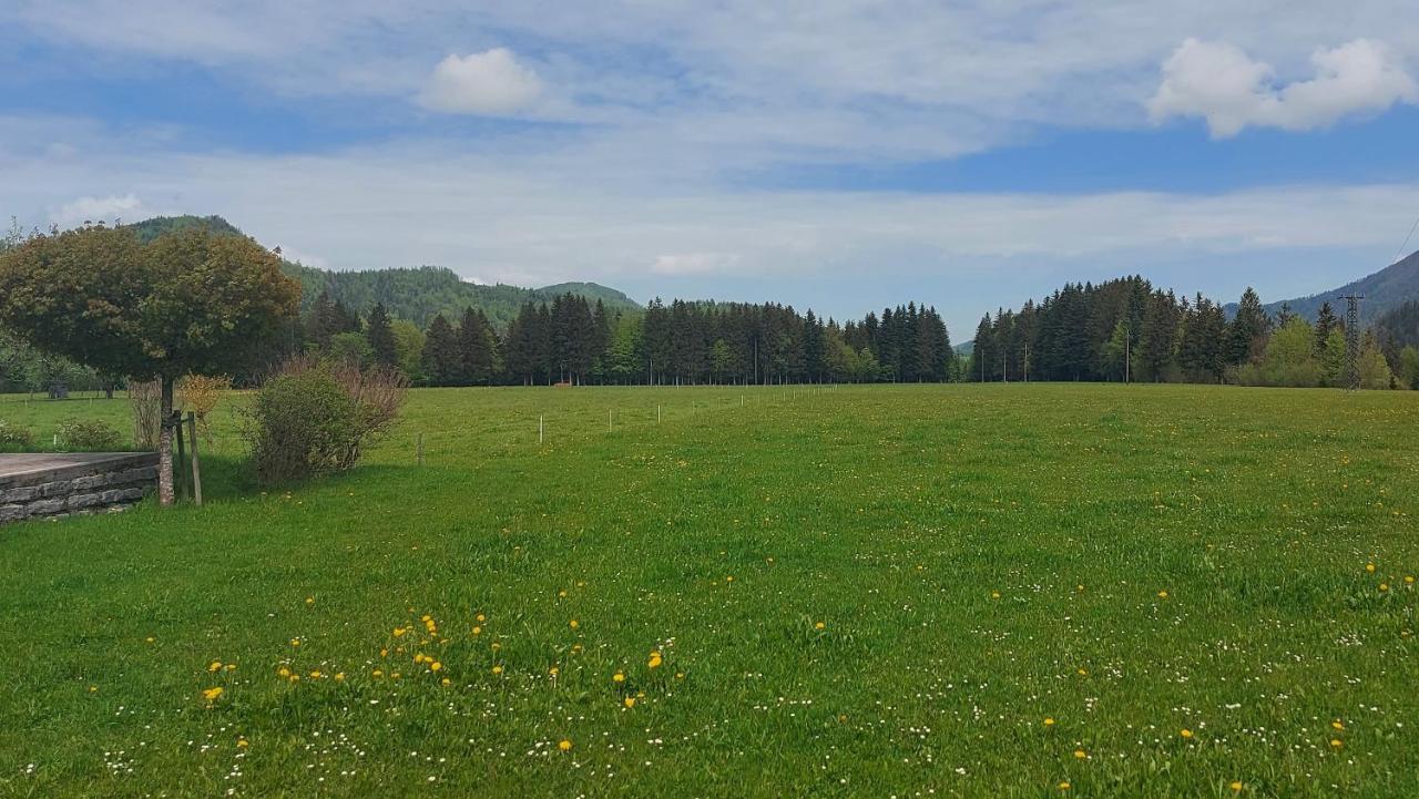 Ferienwohnung Seeberg Mit Almfeeling Faistenau Exterior photo